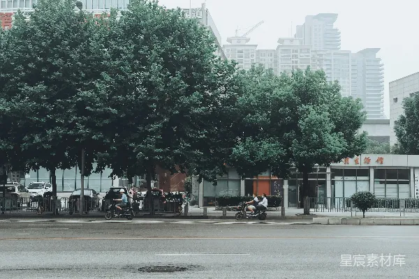 高清摄影 白天，人们走在有绿树的路边。