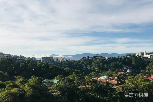 高清摄影 白天白云下绿树成荫