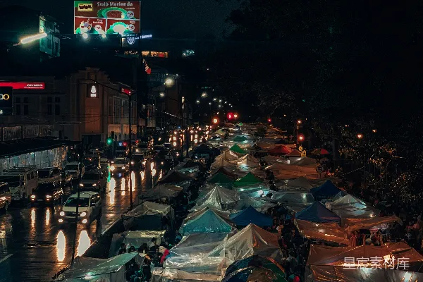 高清摄影 道路树木冠层的高角度摄影