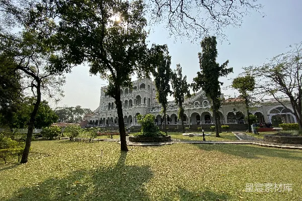 高清摄影 一座大型的白色建筑，前面有树木。