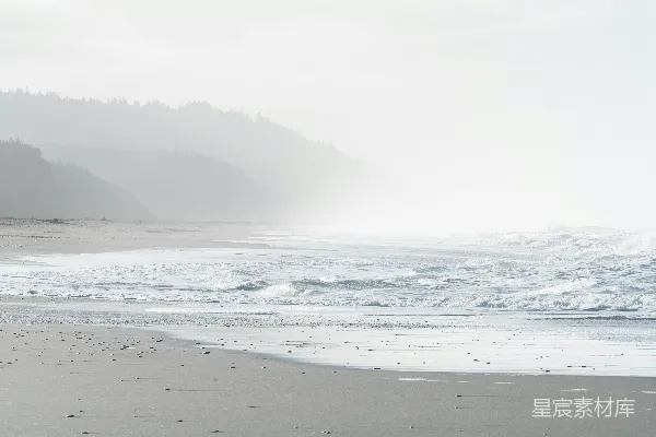 白天沿岸