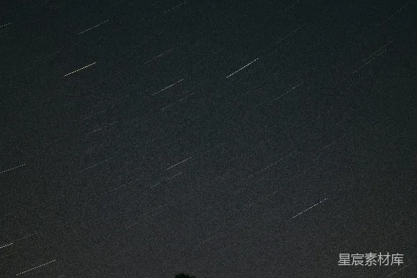 夜幕下星星轨迹横跨轮廓树木的景象