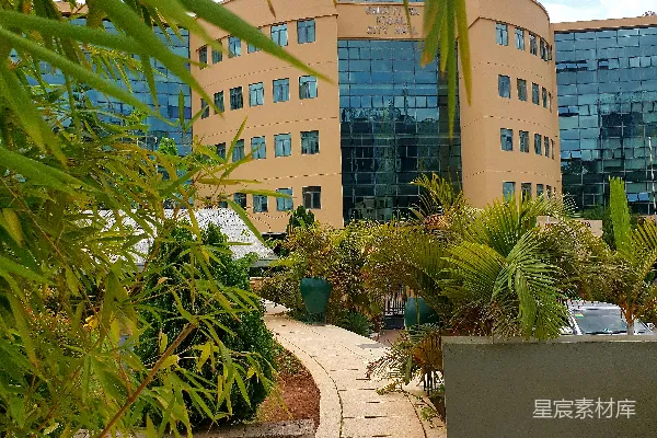 高清摄影 一座有很多窗户和植物的建筑