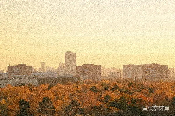 高清摄影 城市天际线前有树木。