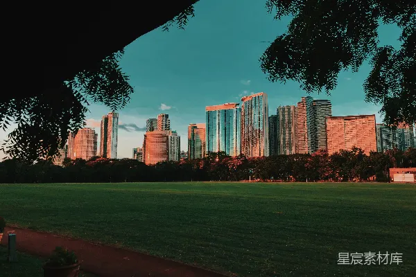 高清摄影 白天城市建筑附近的绿草地