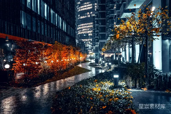 高清摄影 夜晚的城市街道，高楼林立。