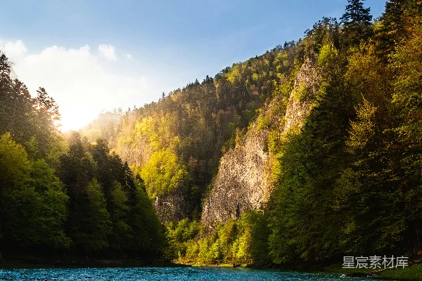 树间的水域