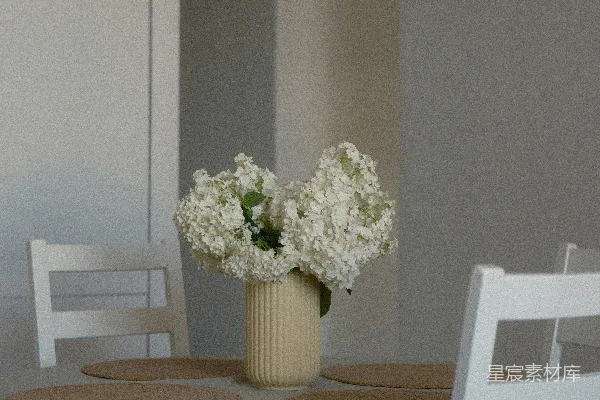 餐桌上一 vase 中盛放着白色的花朵。