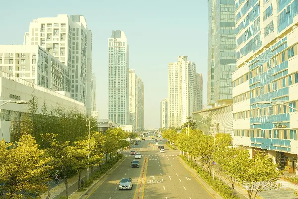 高清摄影 一条两旁是高楼和树木的城市街道