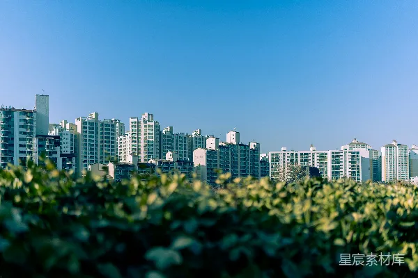 高清摄影 一座城市景观，背景中可以看到高耸的建筑物。