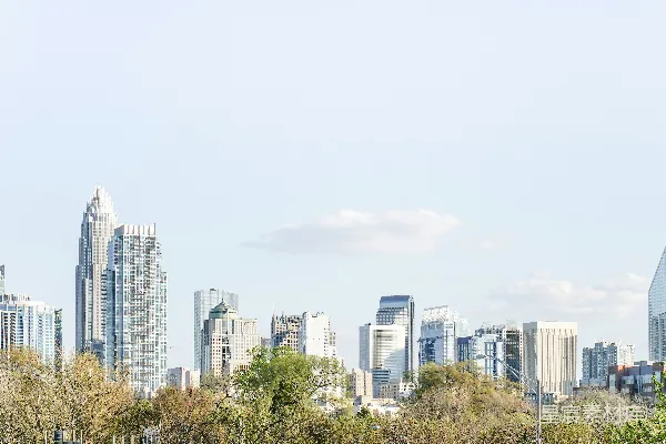高清摄影 城市天际线与树木