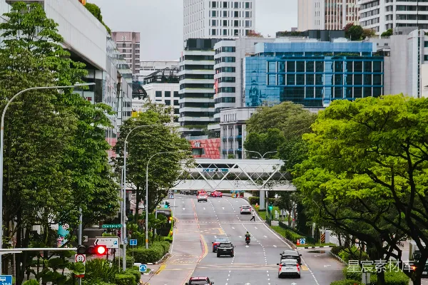 高清摄影 一条城市街道，车辆在街道上行驶。