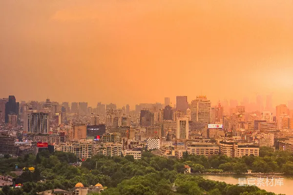 高清摄影 夕阳西下时的绿树和城市建筑