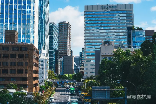 高清摄影 一条街道两旁是高大的建筑物和树木。