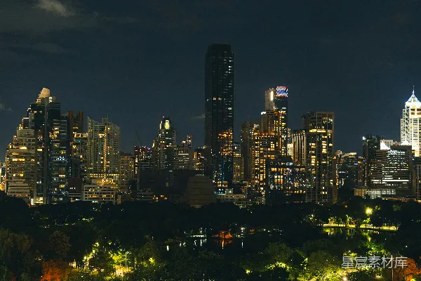 高清摄影 现代化的城市夜景，前景是公园。