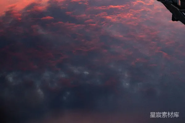 高清摄影 夕阳下云层中的树影轮廓