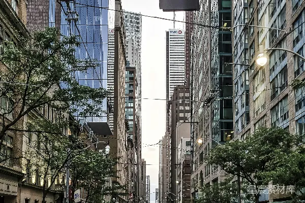 高清摄影 一条街道，两旁是高楼和树木。