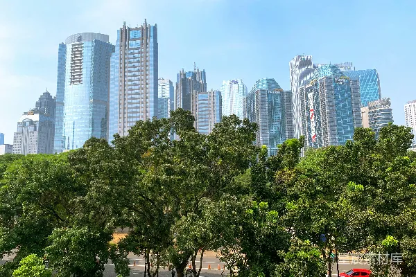 高清摄影 一幅城市全景图，背景中可以看到高耸的建筑。