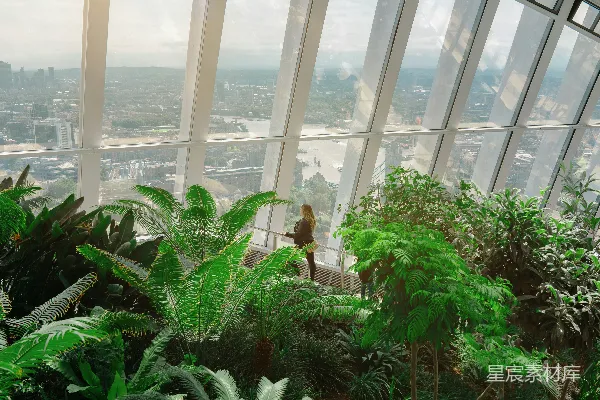 高清摄影 一座非常高大的建筑物，里面有许多植物。