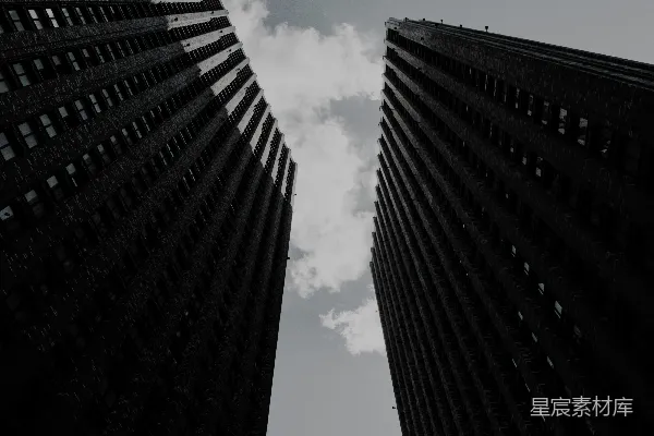 高清摄影 一张黑白照片，显示了两座高大的建筑物。