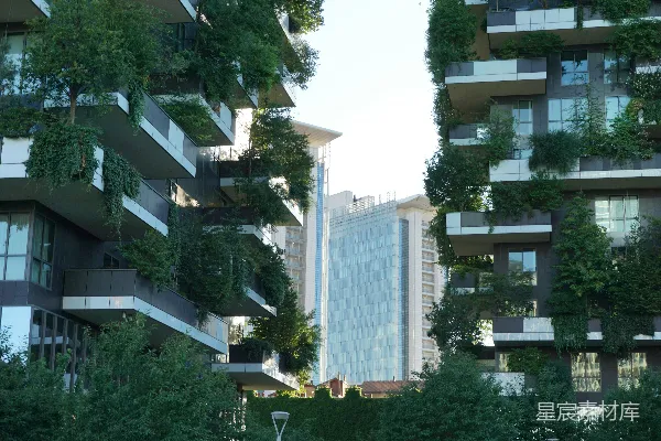 高清摄影 白天，白色混凝土建筑旁的绿树