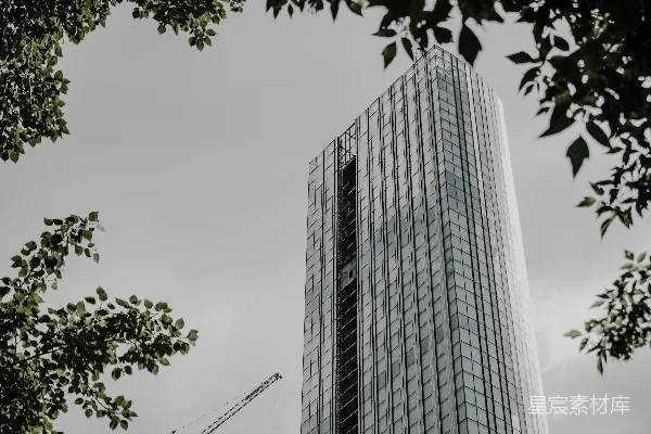 高清摄影 白天绿色树木旁的灰色混凝土建筑