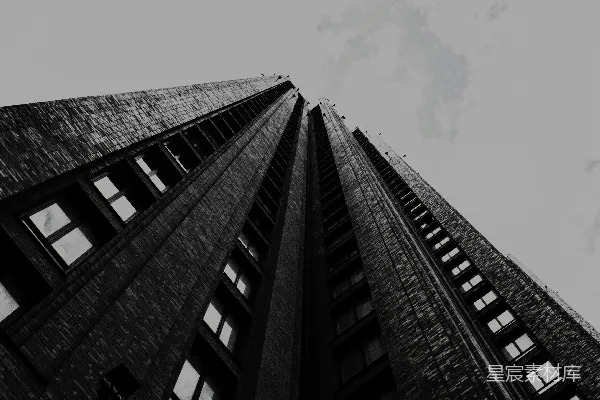 高清摄影 一张黑白照片，展示了两座高大的建筑物。