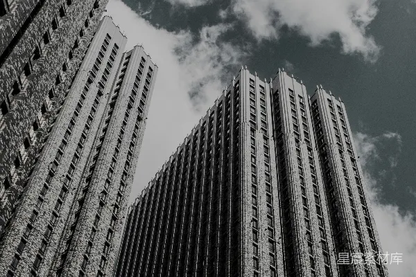 高清摄影 一张黑白照片，展示了两栋高大的建筑物。