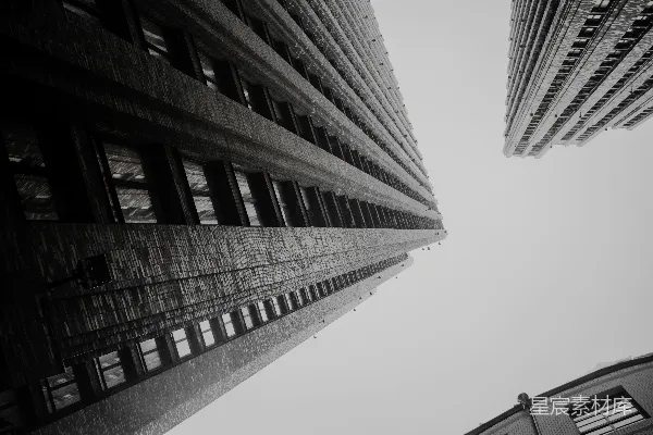 高清摄影 一张黑白照片，展示了两座高大的建筑。
