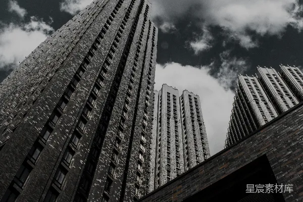 高清摄影 一张黑白照片，展示着高大的建筑物。