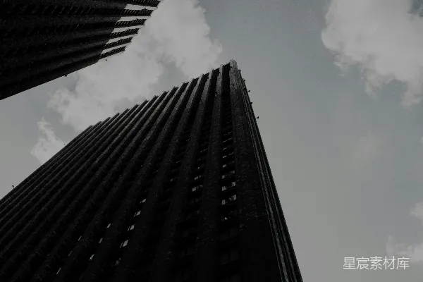 高清摄影 一张黑白照片，展示了两座高大的建筑物。