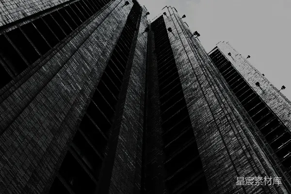 高清摄影 一张黑白照片，展示的是高耸的建筑。