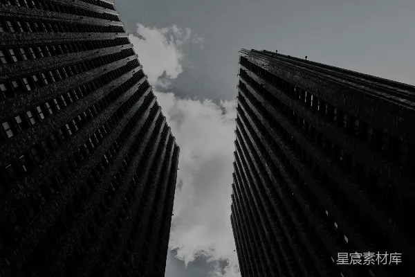 高清摄影 一张黑白照片，展示了两座高大的建筑物。