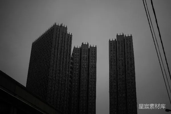 高清摄影 一张黑白照片，展示了两栋高大的建筑。