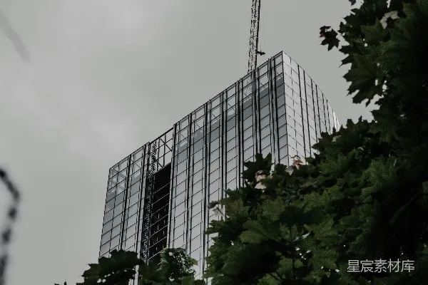 高清摄影 白墙旁的绿树
