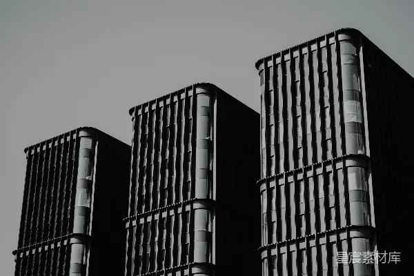 高清摄影 一张黑白照片，展示了三栋高大的建筑物。