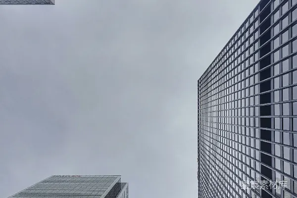 高清摄影 黑白照片中的高楼建筑