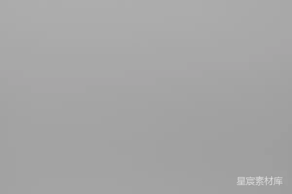 高清摄影 一张黑白的城市天际线照片