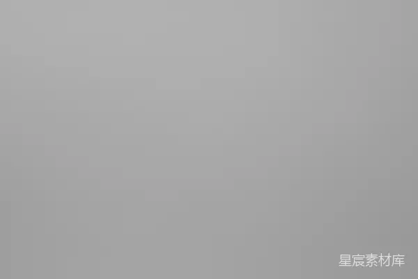 高清摄影 一张黑白的城市天际线照片