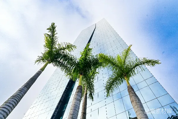 高清摄影 一座高楼前面有棕榈树。