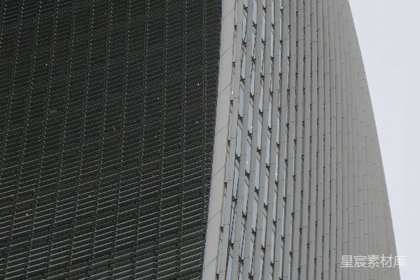 高清摄影 一只鸟停在建筑物的一侧。