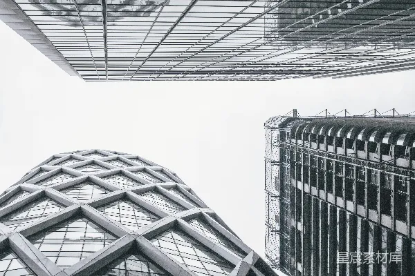 高清摄影 一张黑白照片，显示了两座建筑物。