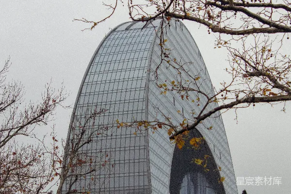 高清摄影 一座很高的建筑物坐落在一些树后面