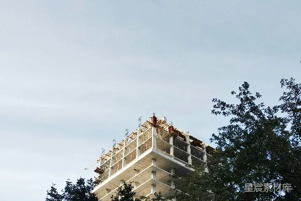 高清摄影 绿色的树靠近白色的混凝土建筑