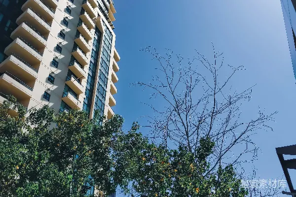 高清摄影 一座非常高的建筑物，旁边有一些树木。
