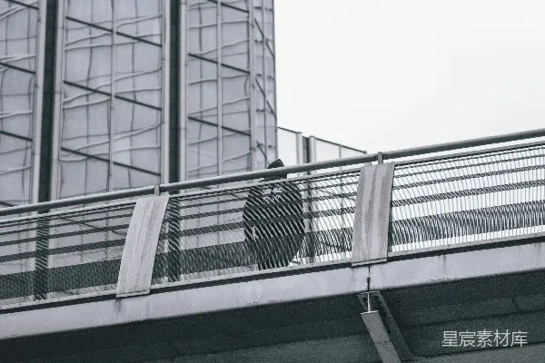高清摄影 一只鸟站在桥栏杆上。