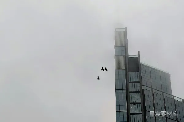 高清摄影 雾气笼罩着摩天大楼，鸟儿在飞。