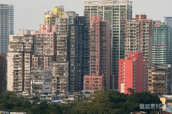 密集的城市景观中包含各种建筑物和绿树
