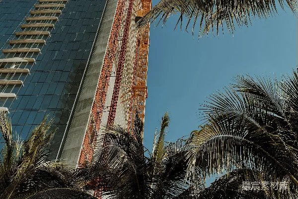 高清摄影 白天的玻璃建筑旁有一棵绿色的棕榈树。