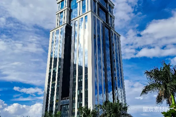 高清摄影 现代化的玻璃幕墙摩天大楼和棕榈树